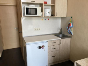 Apartment Roz 115